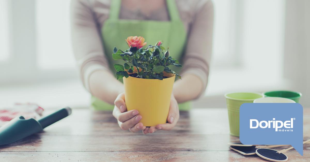 Plantas para Casa
