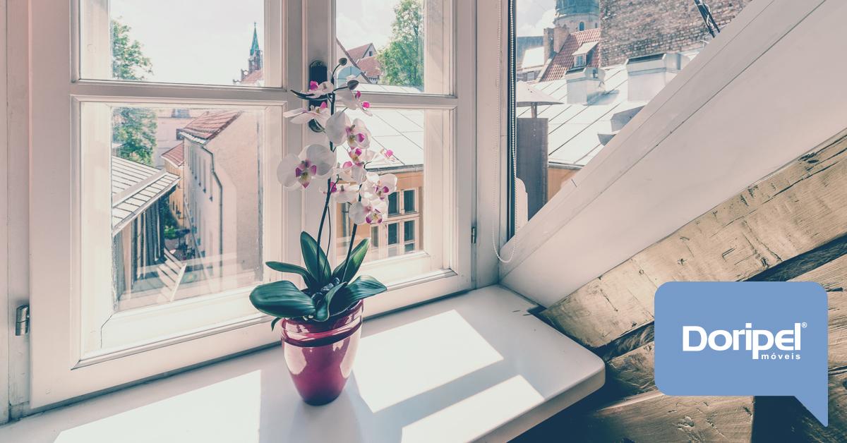 Plantas para Casa