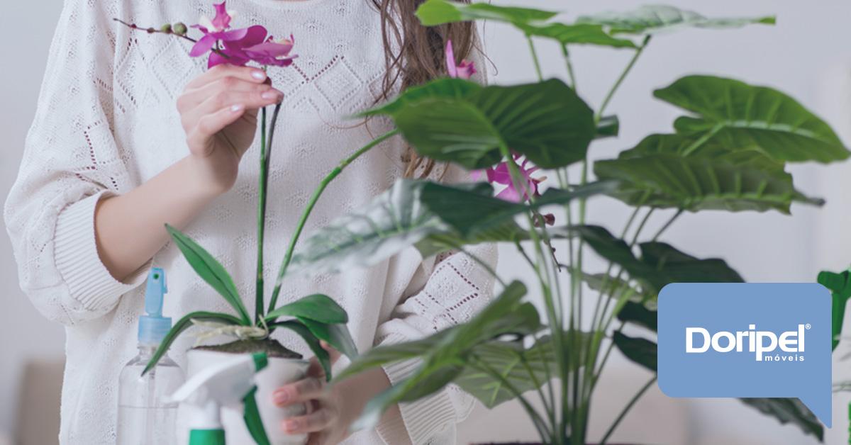Plantas para Casa